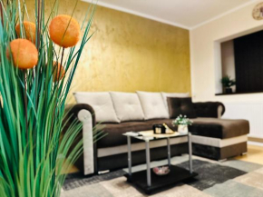 Studio Apartment Timisoara cu Parcare La locație !!!